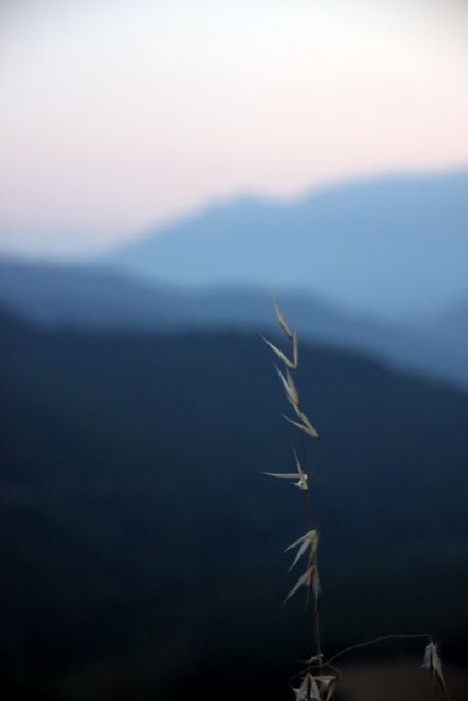 2010 07 08 jeanmarcperfetti.com 009.JPG